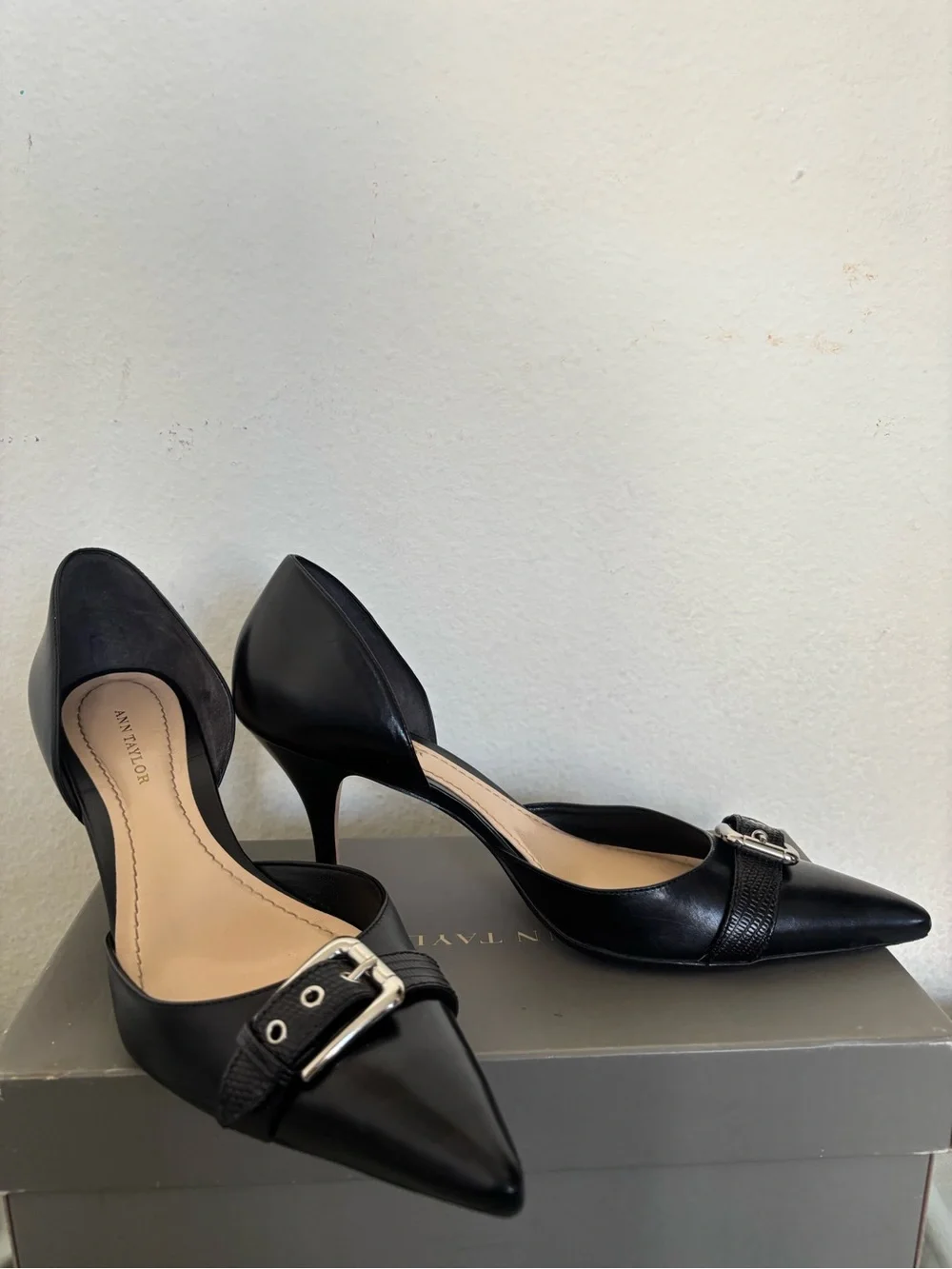 Ann Taylor ann taylor